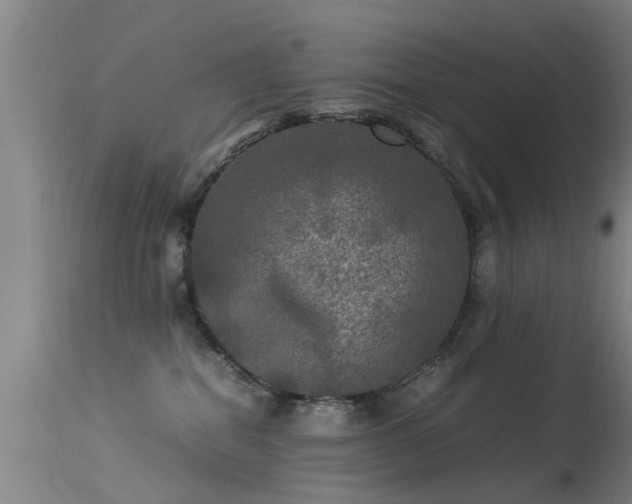 X0000113290282200909211110