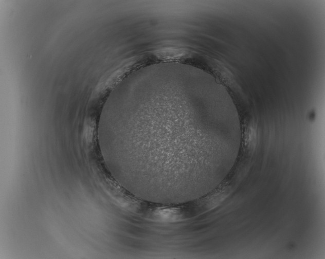 X0000113290283200909211110