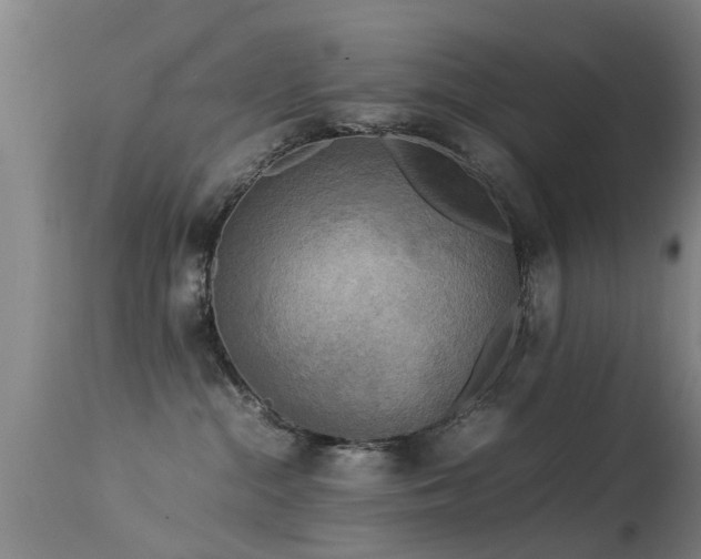 X0000113290284200909211110