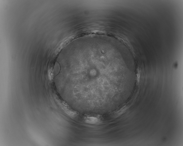 X0000113290285200909211110