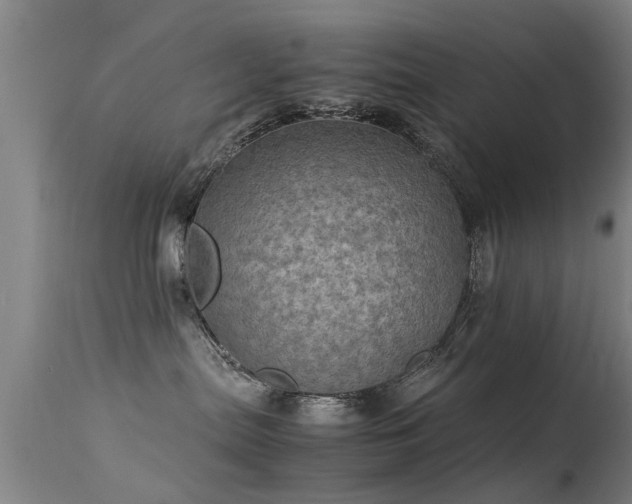 X0000113290287200909211110