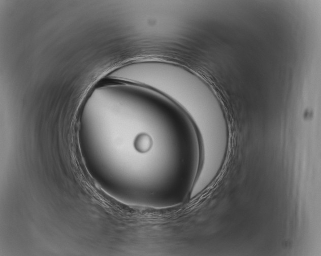 X0000113290289200909211110