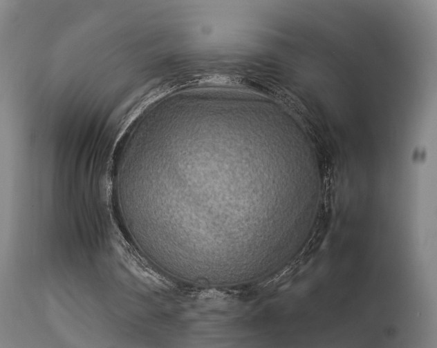 X0000113290290200909211110