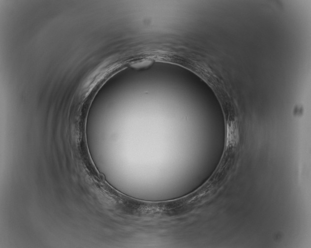 X0000113290291200909211110