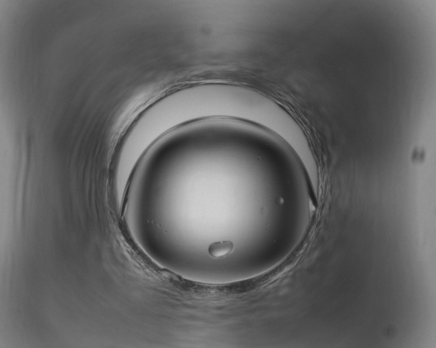 X0000113290293200909211110