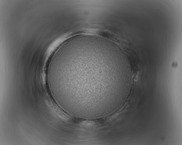 X0000113290294200909211110