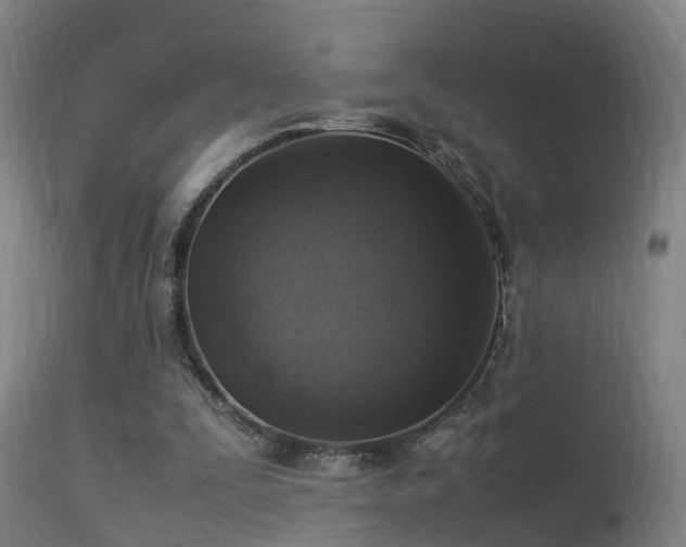 X0000113290295200909211110