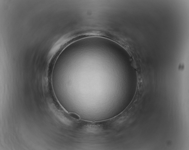 X0000113290296200909211110