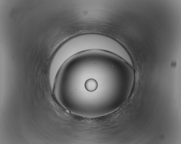 X0000113290297200909211109