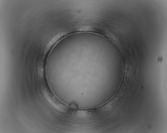 X0000113290298200909211109