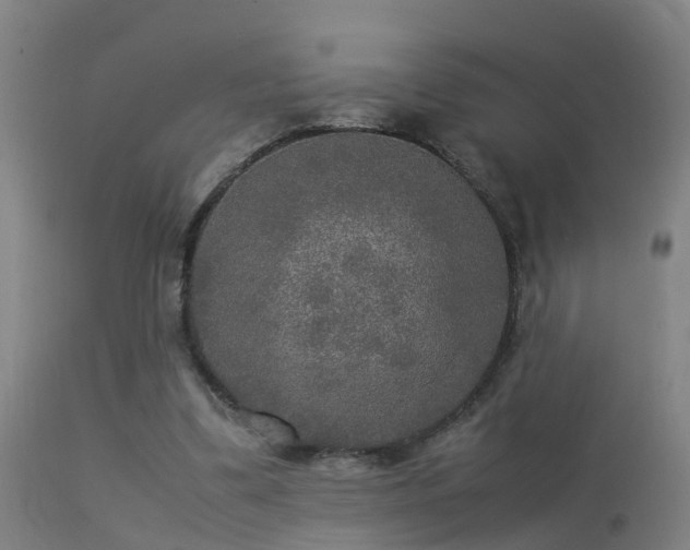 X0000113290299200909211109