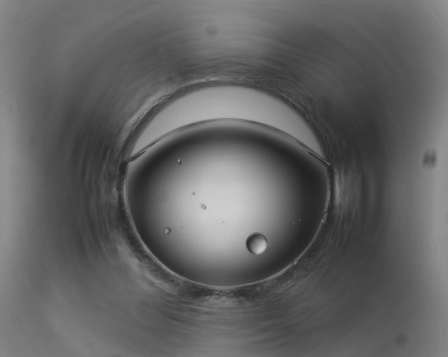 X0000113290300200909211109