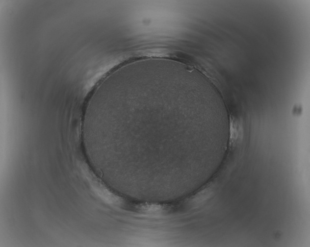 X0000113290301200909211109