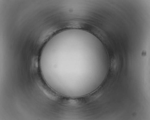 X0000113290302200909211109