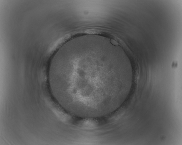 X0000113290303200909211109