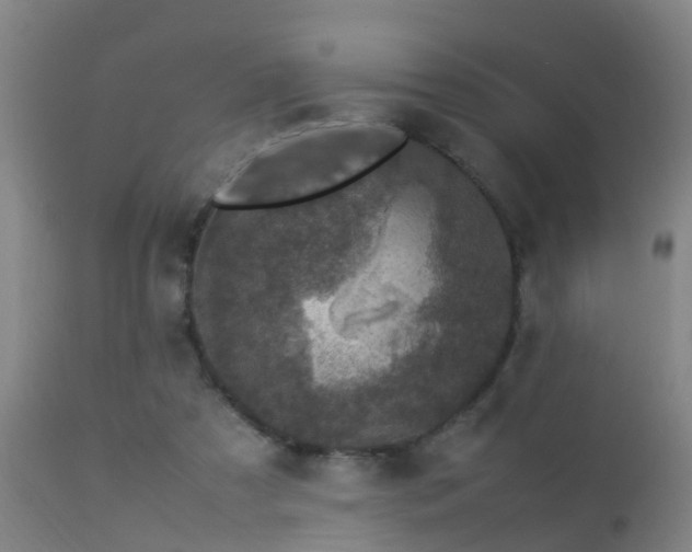 X0000113290305200909211109