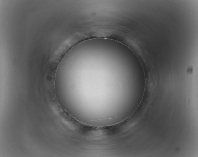 X0000113290307200909211109