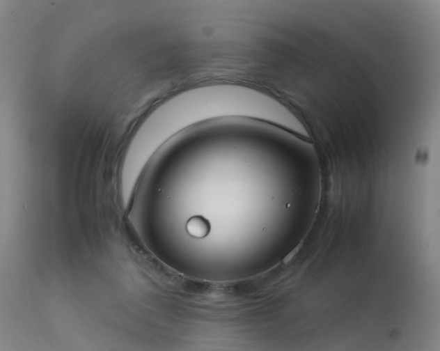 X0000113290308200909211109