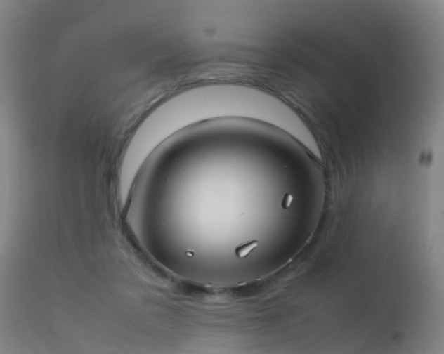 X0000113290309200909211109