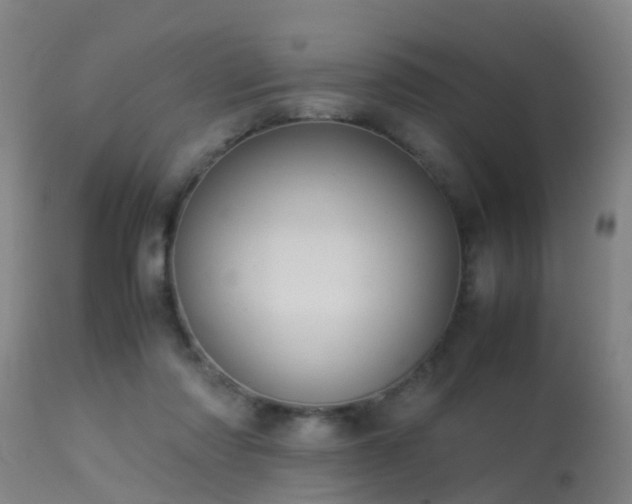 X0000113290310200909211109