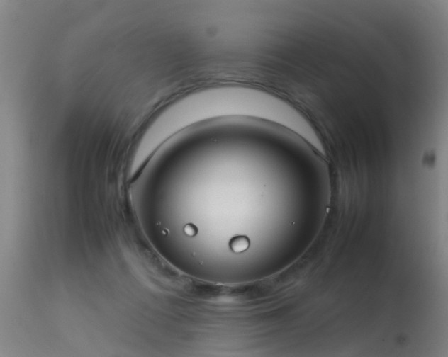 X0000113290312200909211109