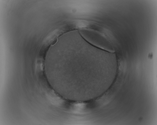 X0000113290313200909211109