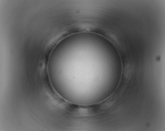 X0000113290314200909211109