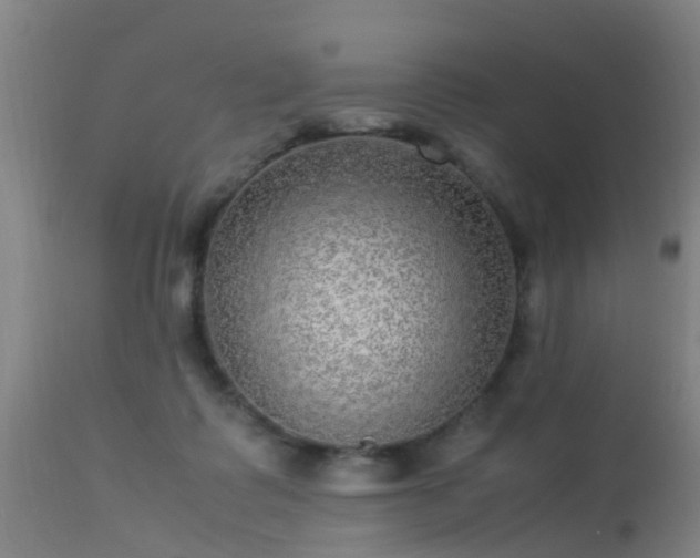 X0000113290315200909211109