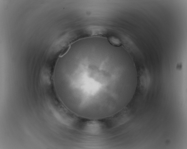 X0000113290316200909211109