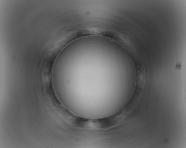 X0000113290317200909211109