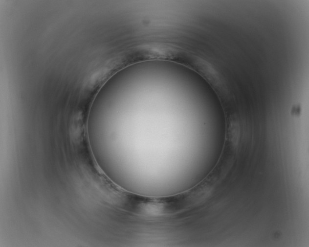 X0000113290318200909211109