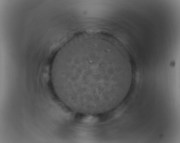 X0000113290319200909211109