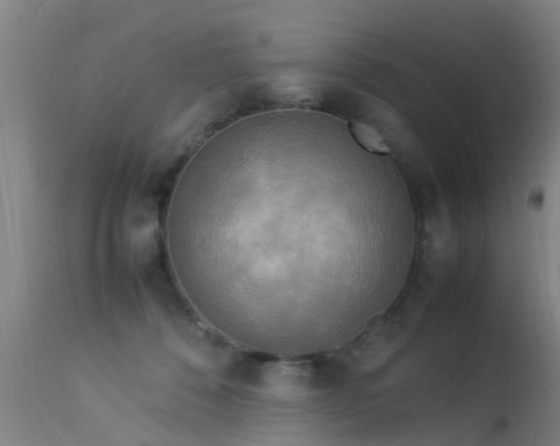 X0000113290320200909211109