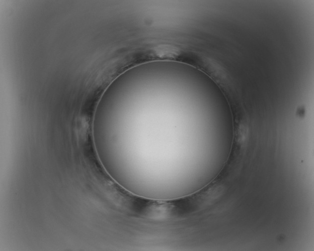 X0000113290321200909211109