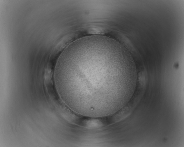 X0000113290322200909211109