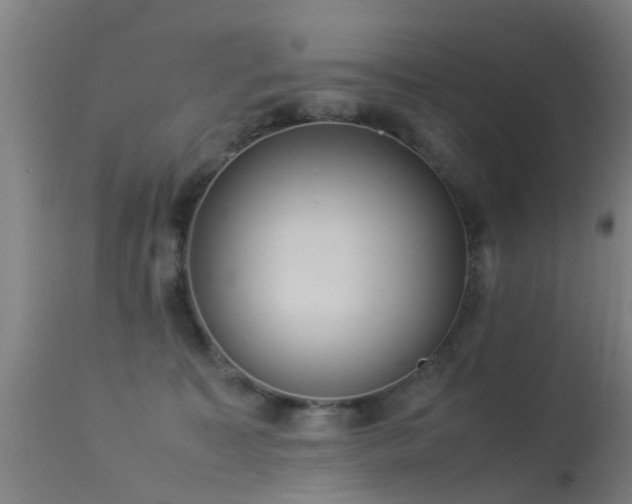 X0000113290323200909211109