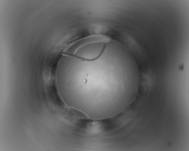 X0000113290324200909211109