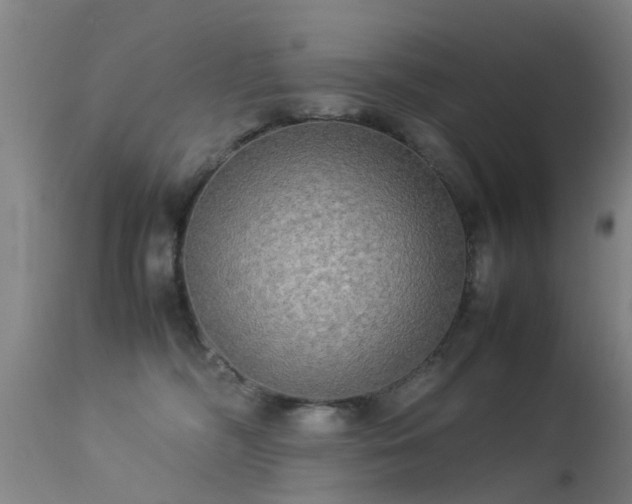 X0000113290326200909211109