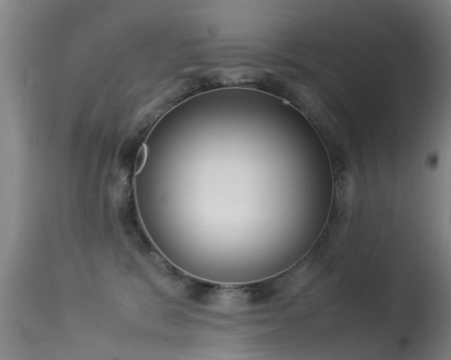 X0000113290327200909211109