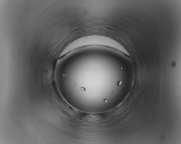 X0000113290328200909211109