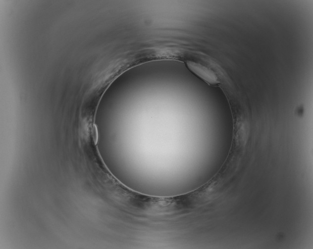 X0000113290329200909211109