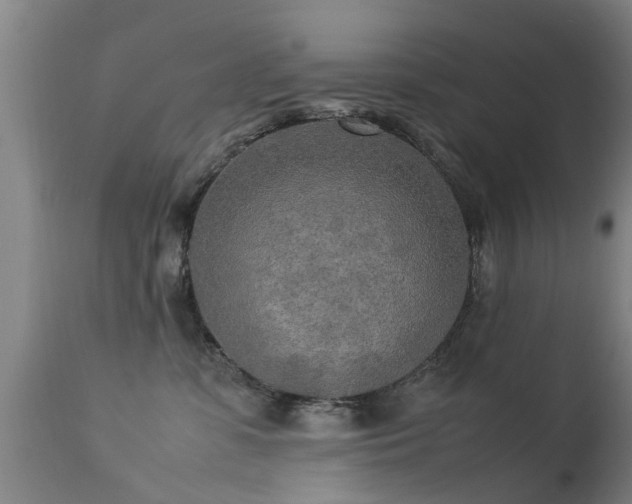 X0000113290331200909211109