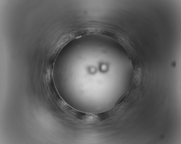 X0000113290333200909211109