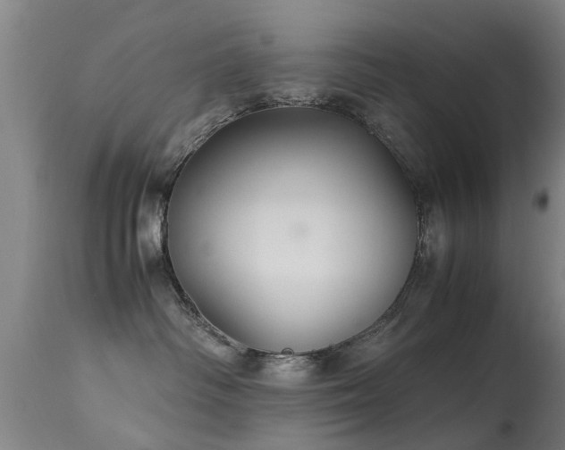 X0000113290334200909211109