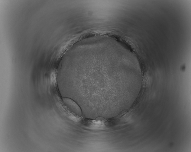 X0000113290335200909211109