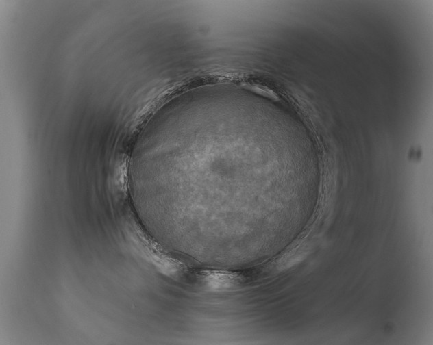 X0000113290336200909211109