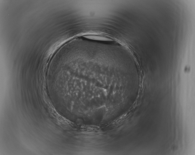 X0000113290337200909211108