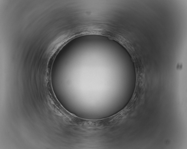 X0000113290338200909211108