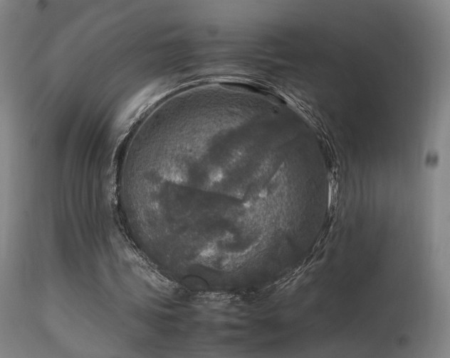 X0000113290339200909211108