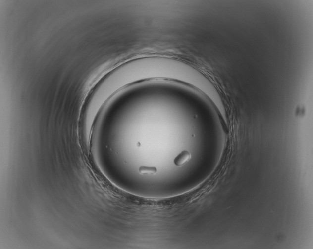 X0000113290340200909211108